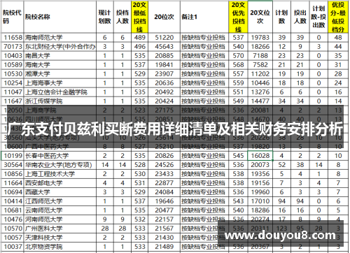 广东支付贝兹利买断费用详细清单及相关财务安排分析